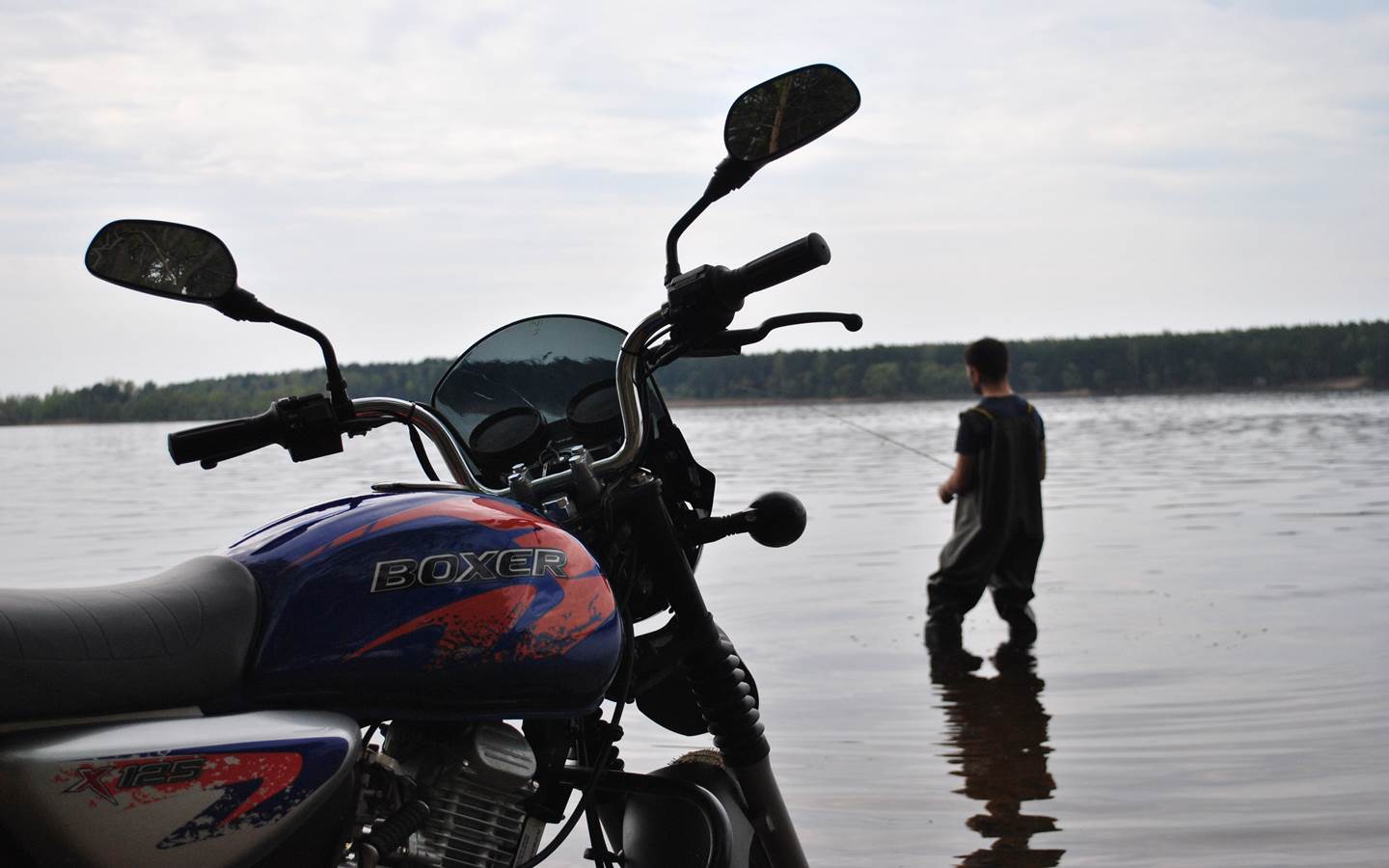 BAJAJ BOXER BM 125 X