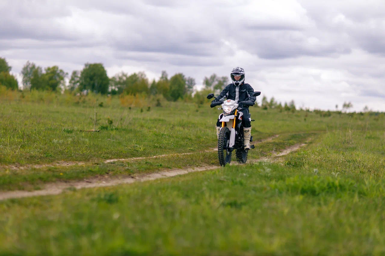 ЗиД-250 «ЛИС»
