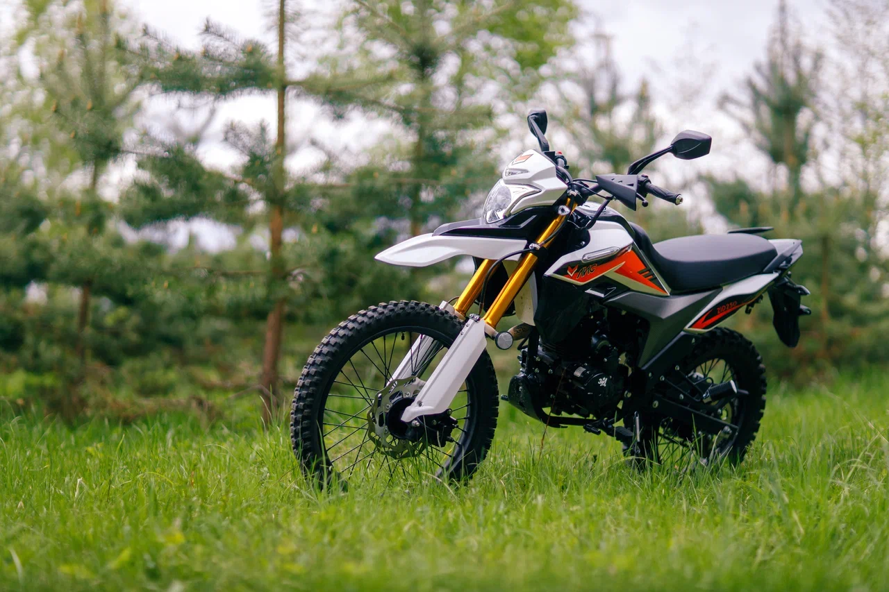 ЗиД-250 «ЛИС»